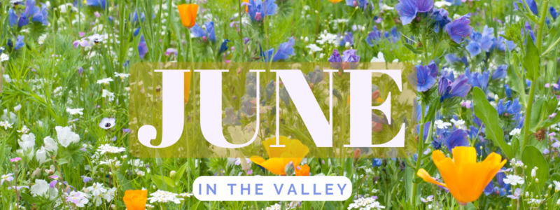 June in the Valley
