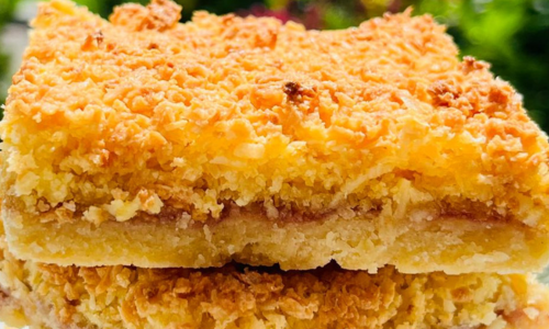 Raspberry Coconut Slices – A Family Favourite | Aud’s Kitchen